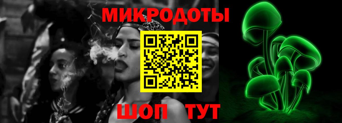Новороссийск  Псилоцибиновые грибы Cubensis  Вход с VPN 